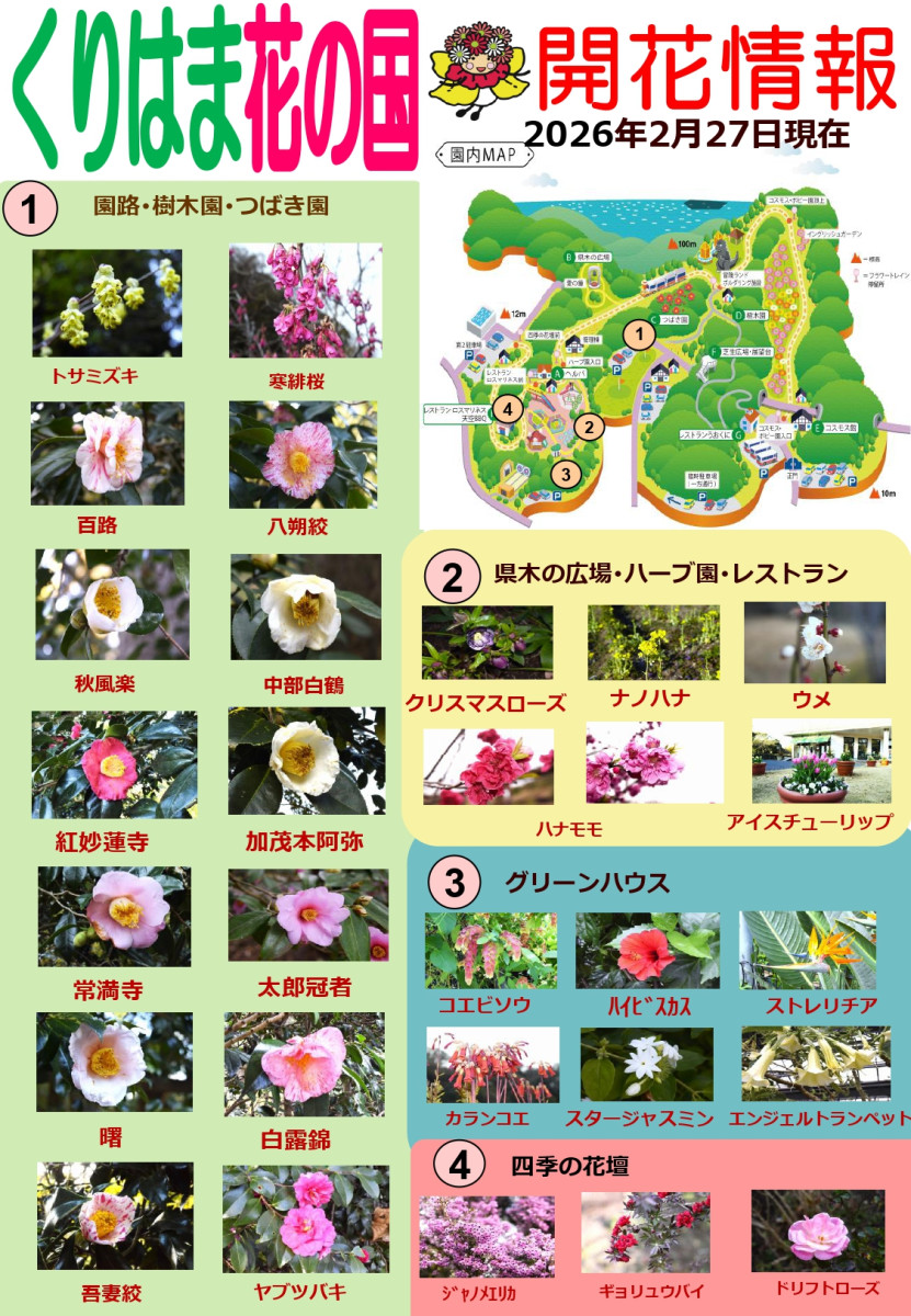 横須賀くりはま花の国・2/27～開花情報｜イベント ｜【公式】神奈川県